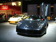 Murcielago