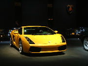 Gallardo