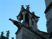 Gargoyles